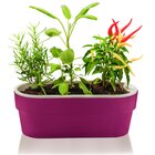 Hortinha Autoirrigável Linha Plantar  Ht180 <ou> Terra